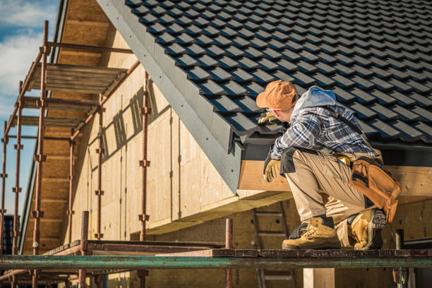 Best Sheet Metal Roofing  in Erwin, TN