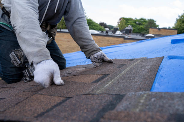 Best Roof Coating and Sealing  in Erwin, TN