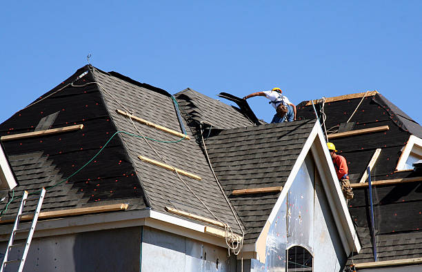 Best Metal Roofing Installation  in Erwin, TN